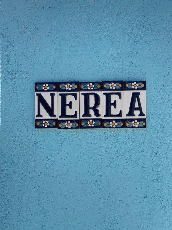 Nerea Holiday home